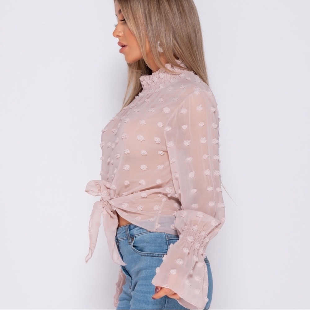 SOLD OUT 🌿🌿Blush Dobby Shirring High Neck Blouse - Picture 3 of 8